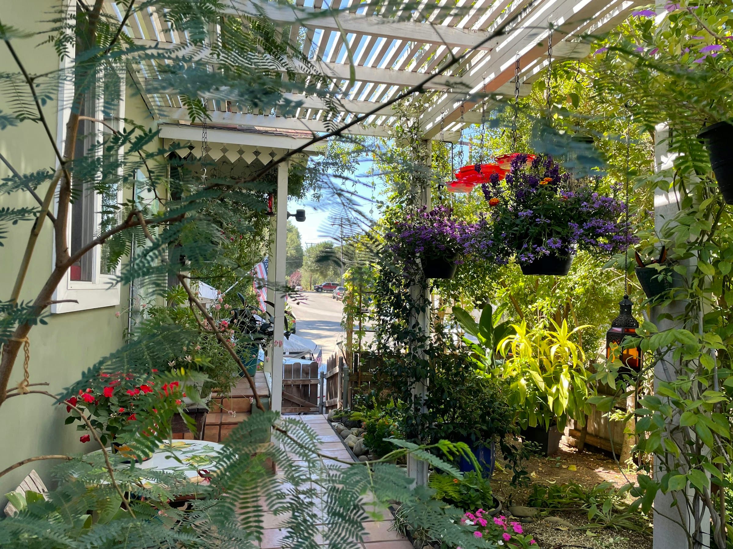 Residential front yard replaced with native habitat planting